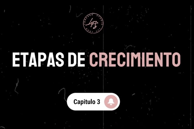Captura de pantalla 2025 01 19 002231